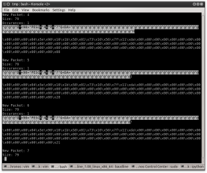 Figure 0x24- iMarked Packets Displayed using grc_bit_converter.py